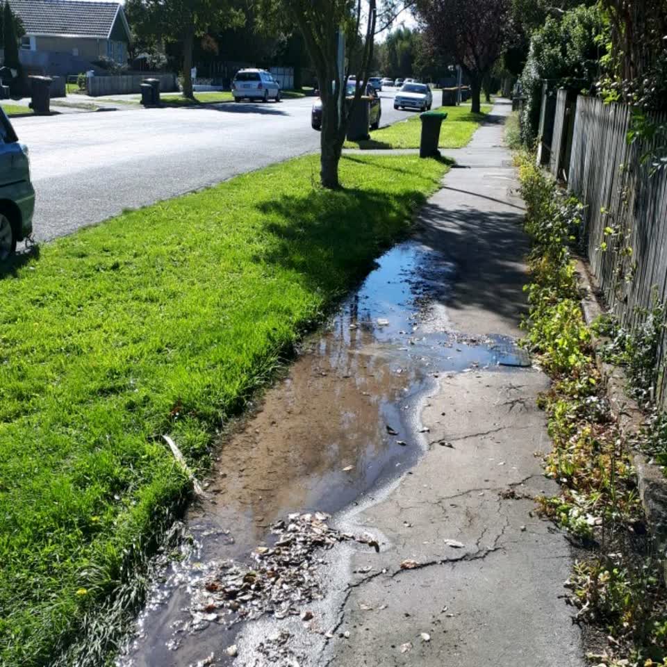 The photograph attached to this water supply report