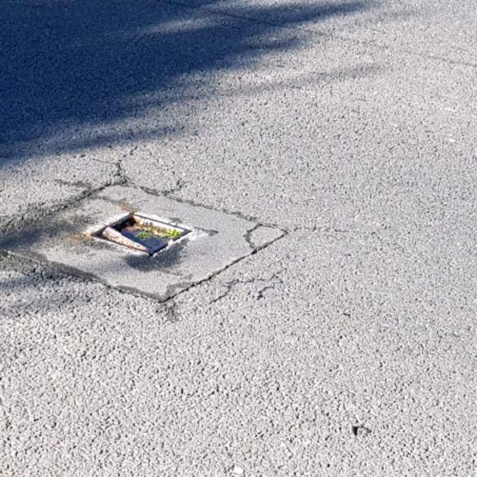 The photograph attached to this water supply report