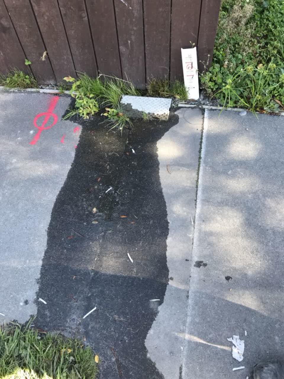 The photograph attached to this water supply report