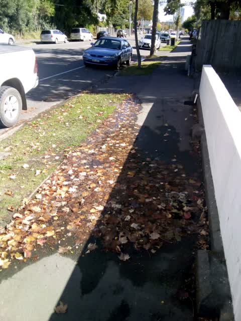Roading/Streets, a report photo