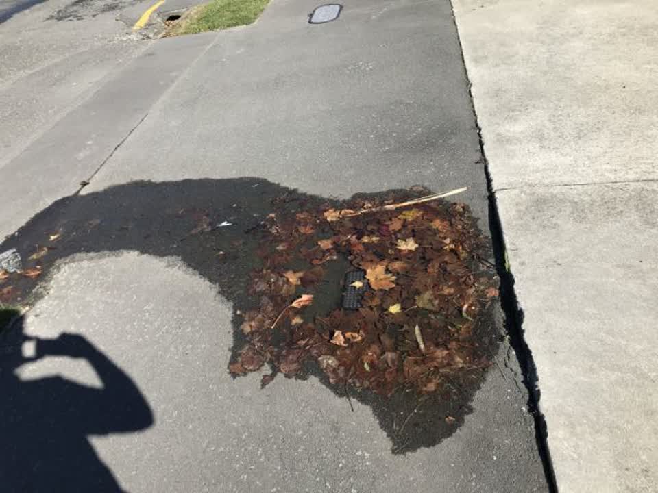 The photograph attached to this water supply report