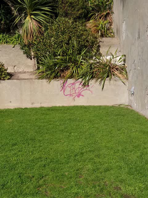 Graffiti — a report photo