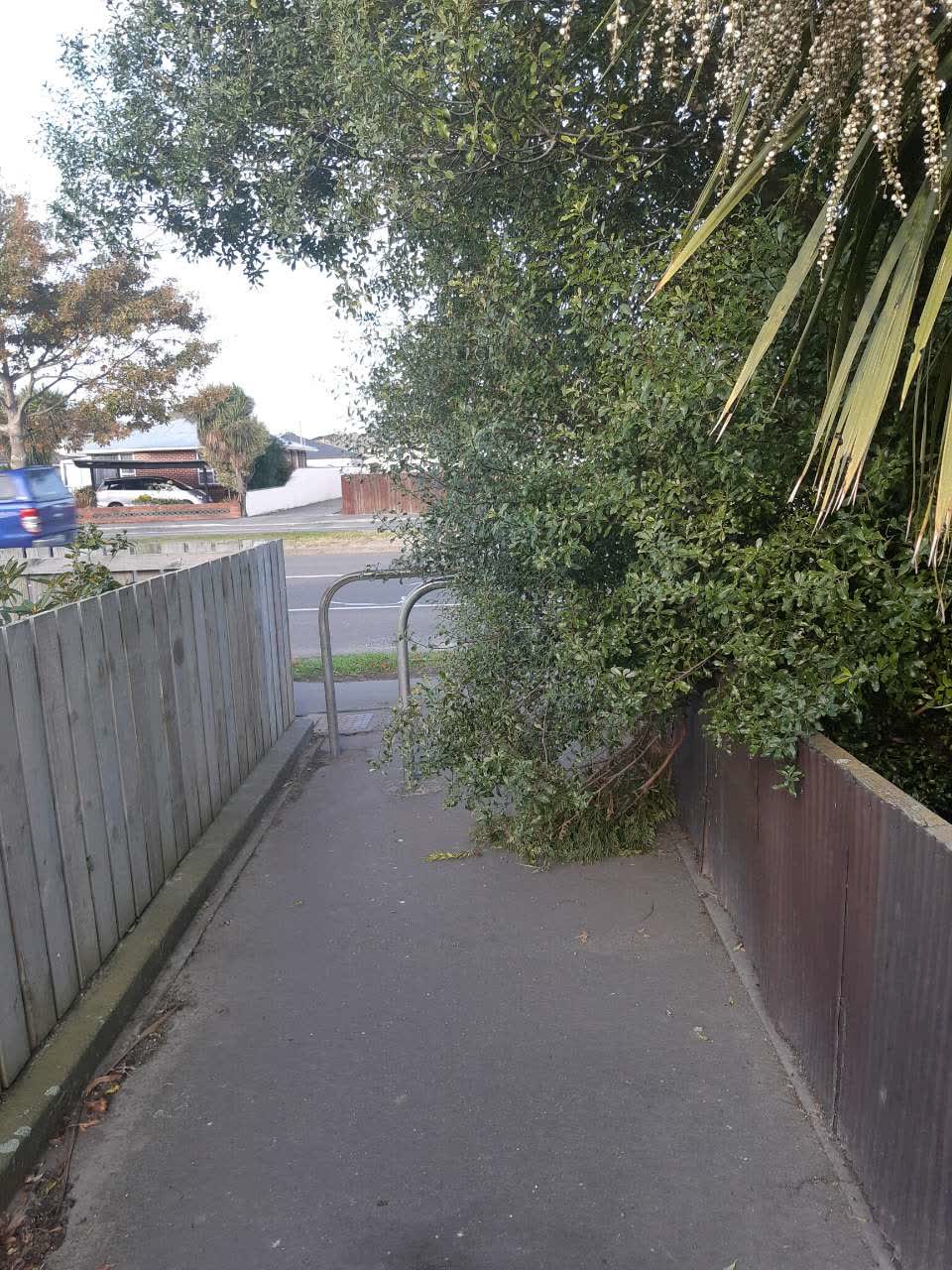 The photograph attached to this roading/streets report