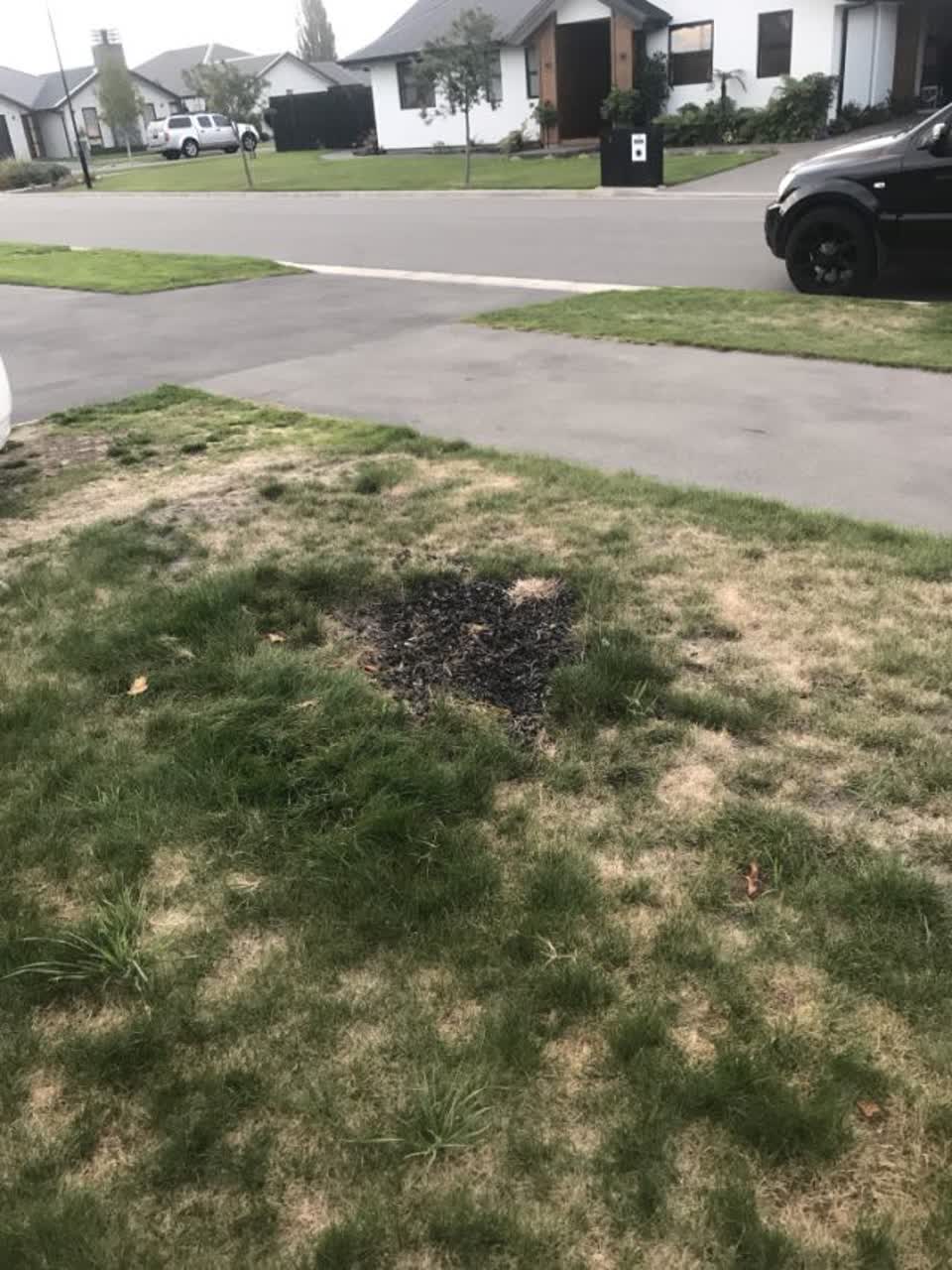 The photograph attached to this parks report