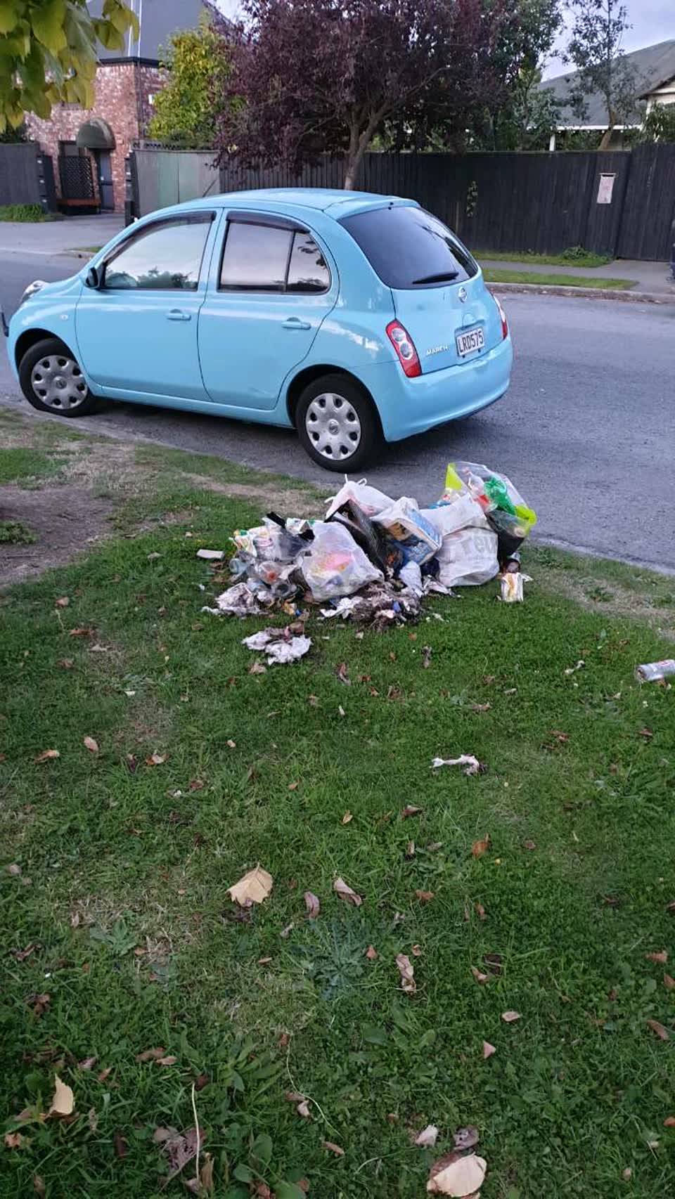 The photograph attached to this rubbish/recycling report