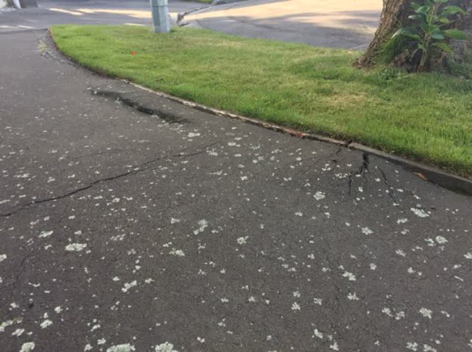 The photograph attached to this roading/streets report
