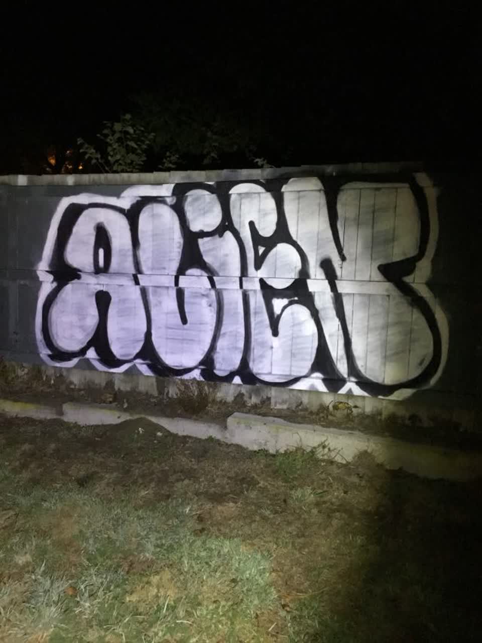 The photograph attached to this graffiti report