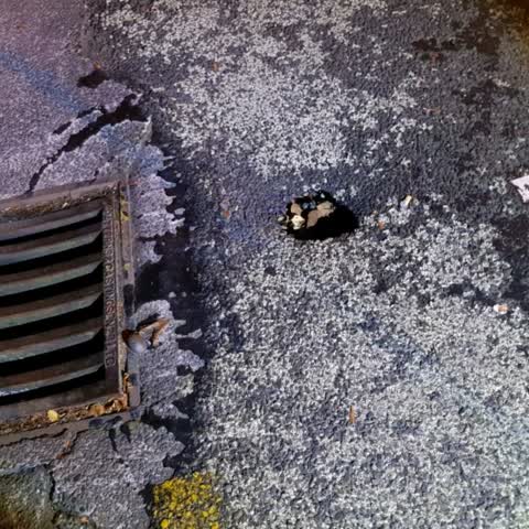 Roading/Streets, a report photo