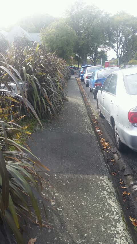 Roading/Streets, a report photo