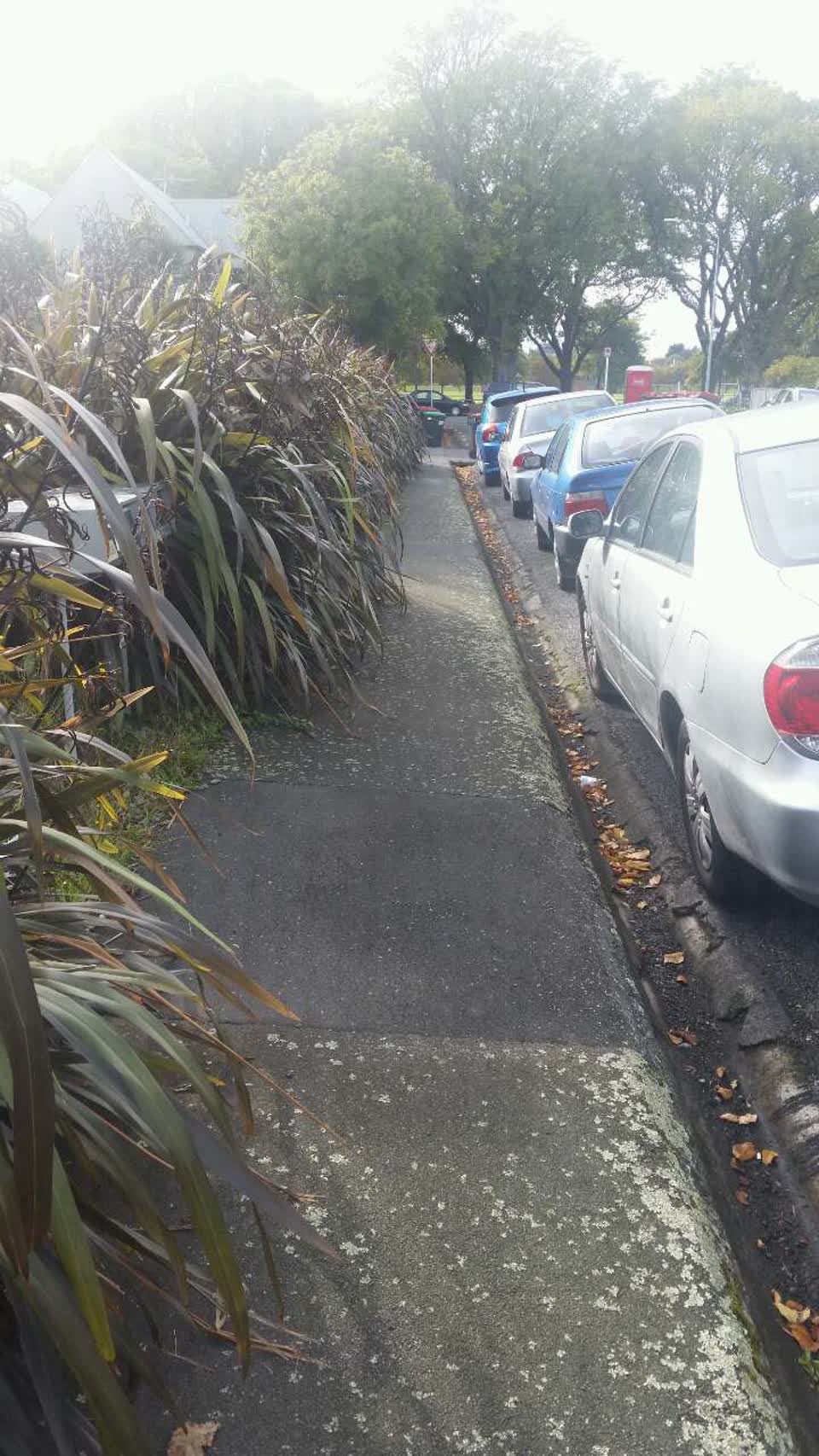 The photograph attached to this roading/streets report