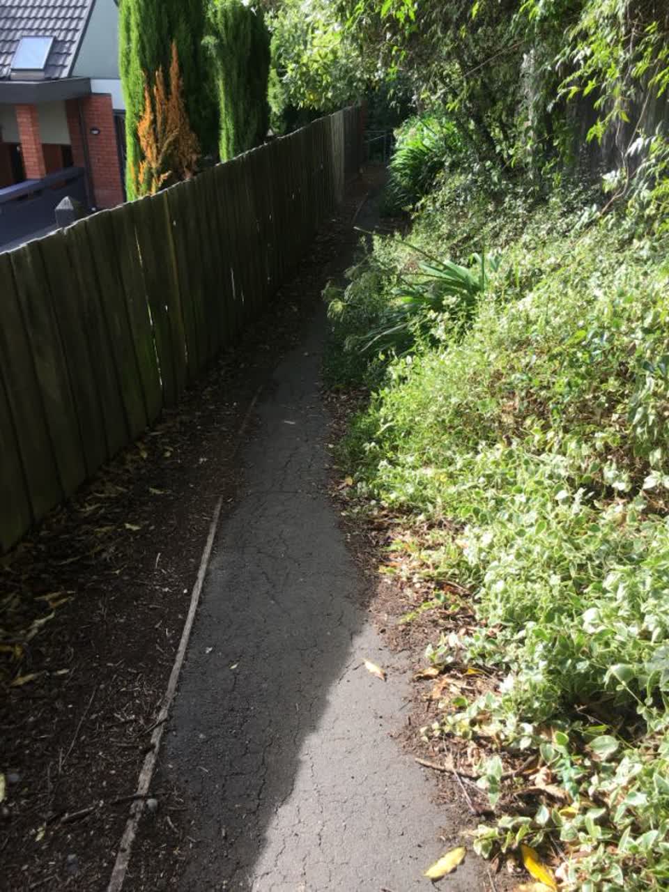 The photograph attached to this parks report
