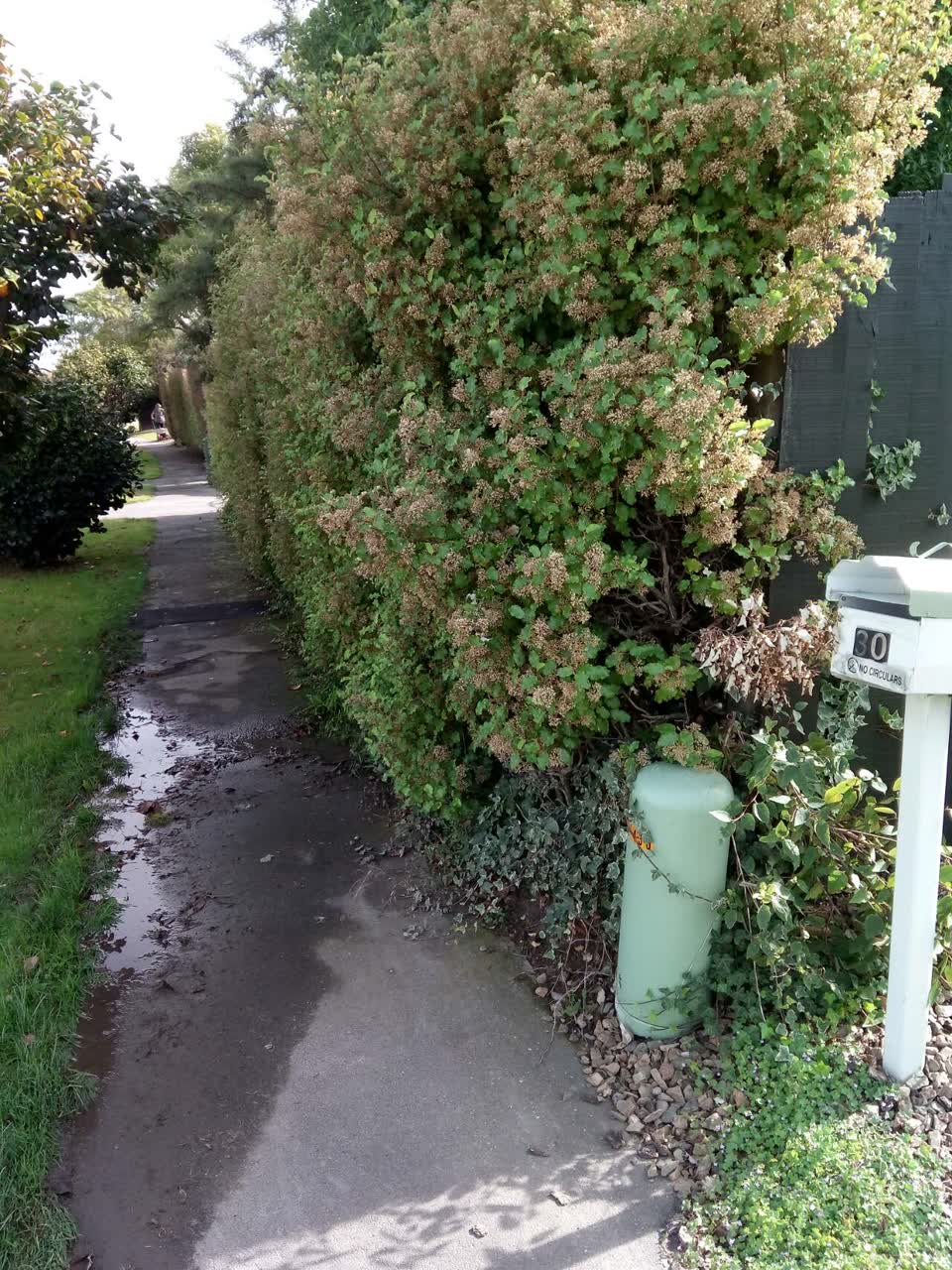 The photograph attached to this wastewater/stormwater report