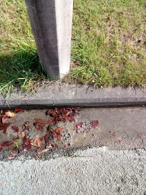 Wastewater/Stormwater, a report photo