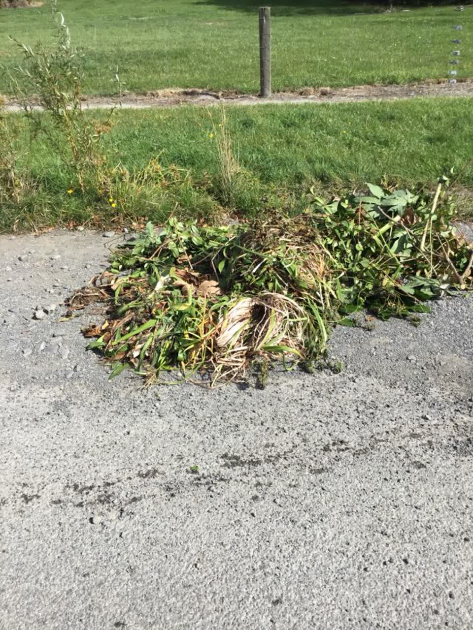 The photograph attached to this rubbish/recycling report