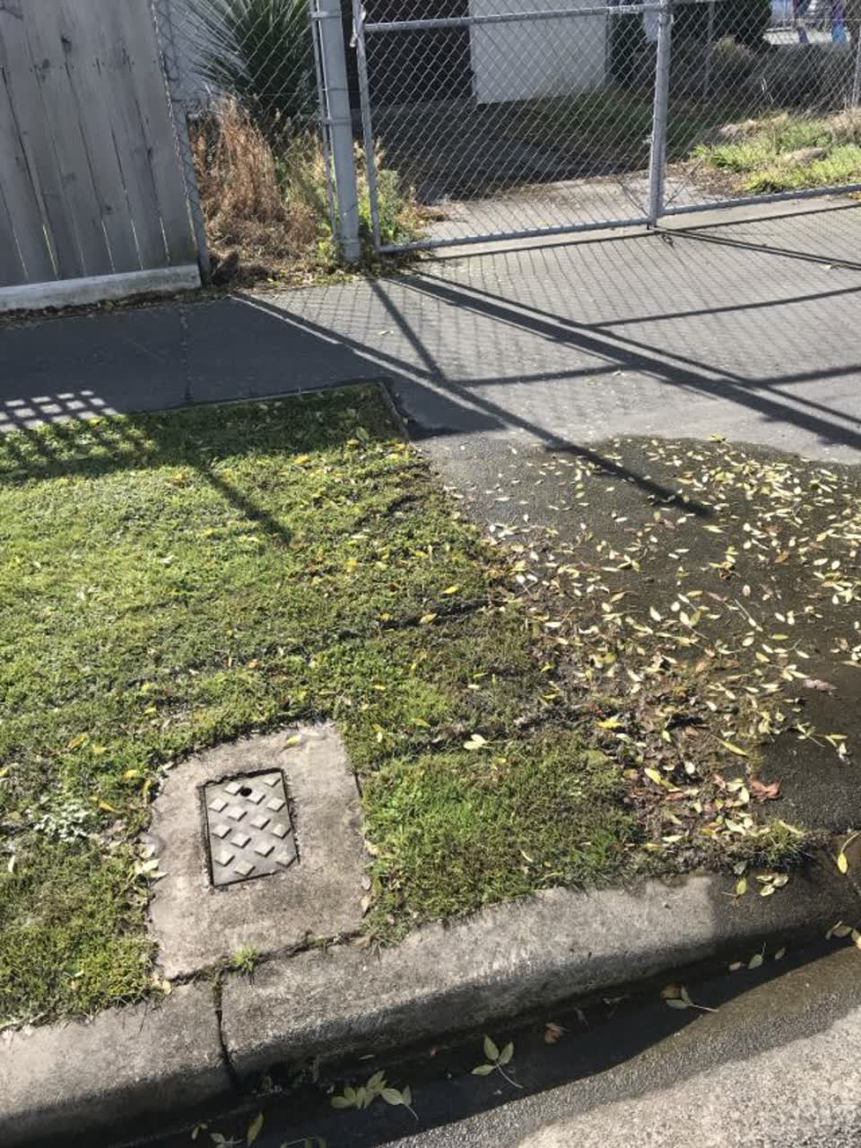 The photograph attached to this water supply report
