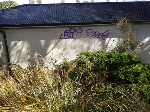 Graffiti, a report photo