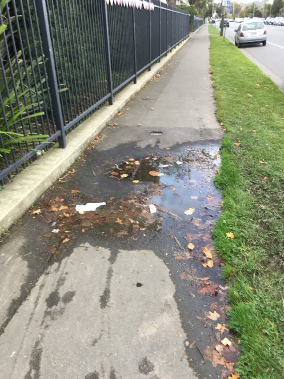 The photograph attached to this roading/streets report