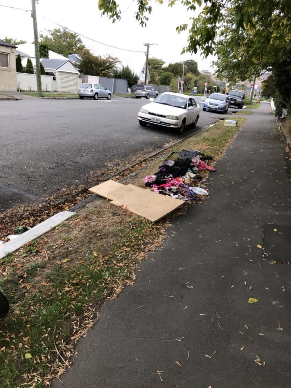 The photograph attached to this rubbish/recycling report