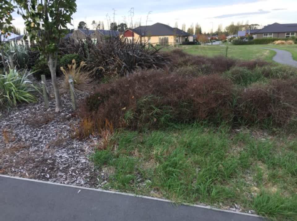 The photograph attached to this parks report