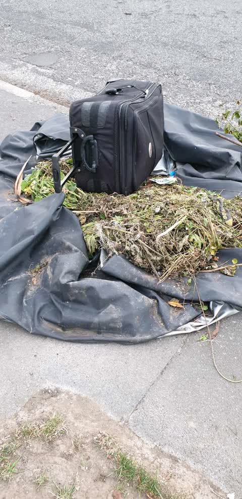 Rubbish/Recycling, a report photo