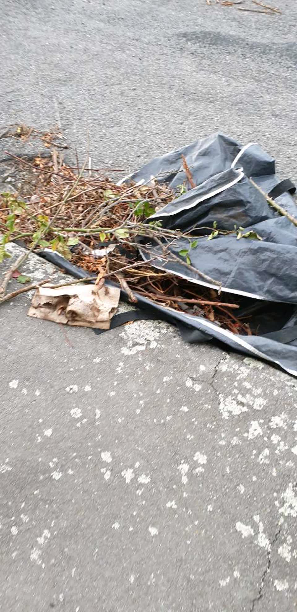 The photograph attached to this rubbish/recycling report