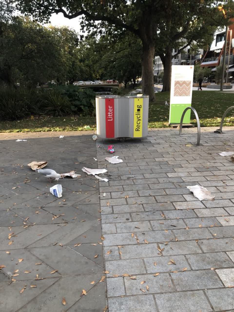 The photograph attached to this rubbish/recycling report