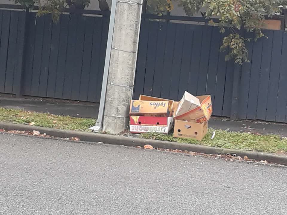 The photograph attached to this rubbish/recycling report