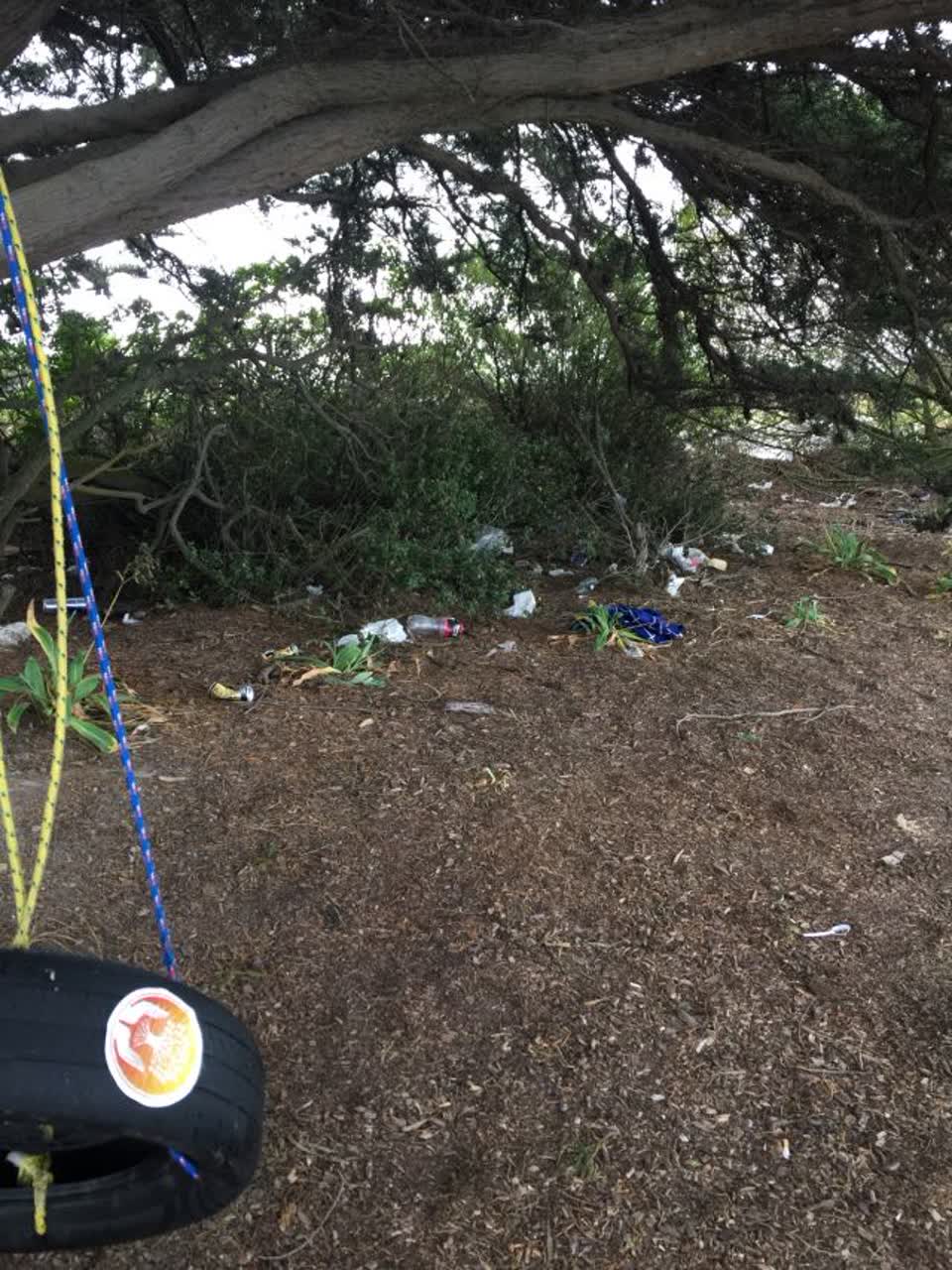 The photograph attached to this rubbish/recycling report