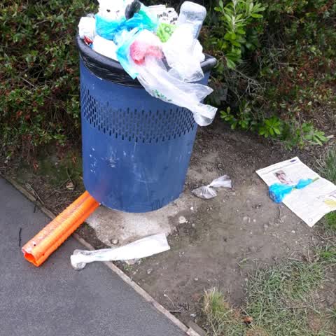 Rubbish/Recycling, a report photo