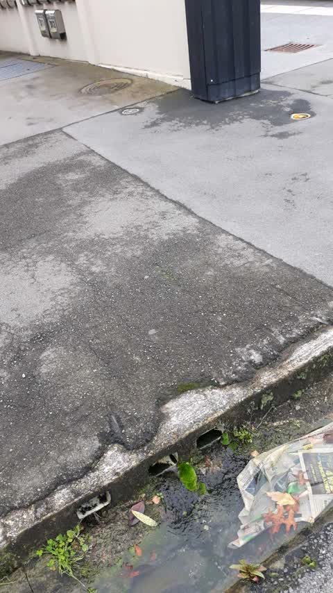 Wastewater/Stormwater, a report photo