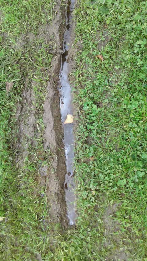 Water Supply, a report photo