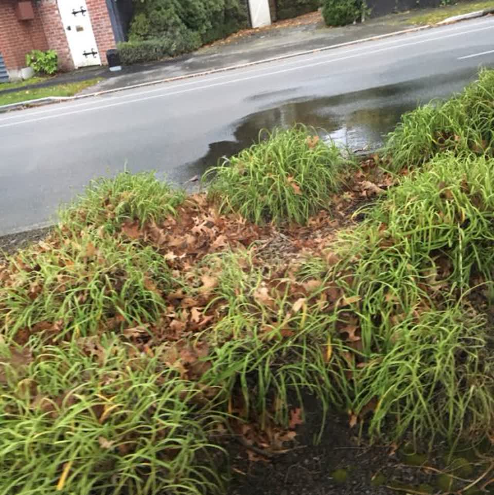 The photograph attached to this water supply report