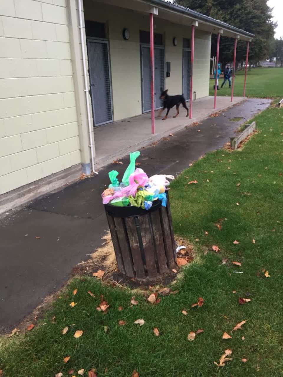 The photograph attached to this parks report