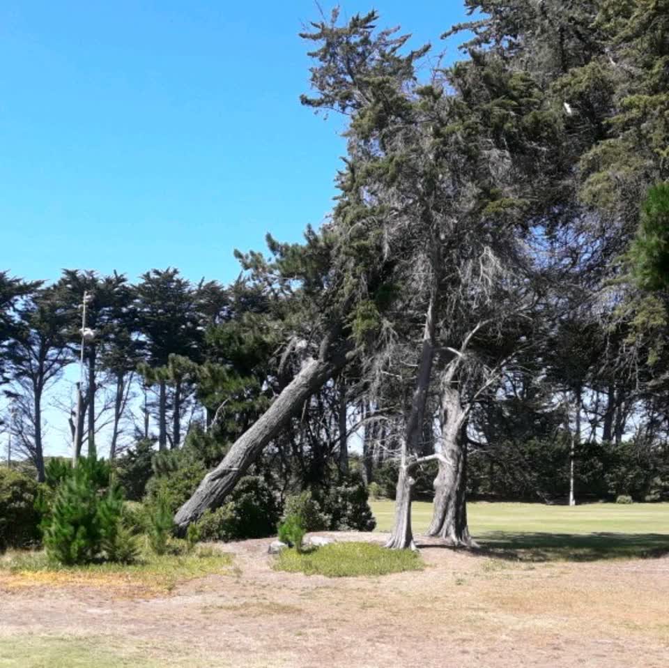 The photograph attached to this parks report