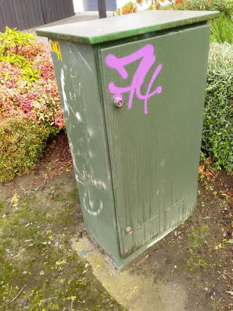 Graffiti, a report photo