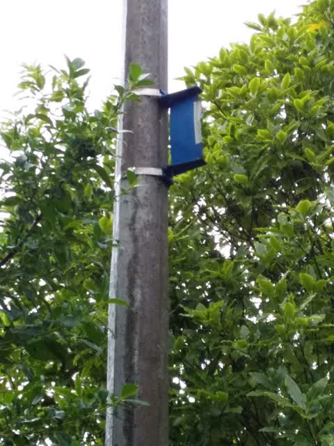 Roading/Streets, a report photo