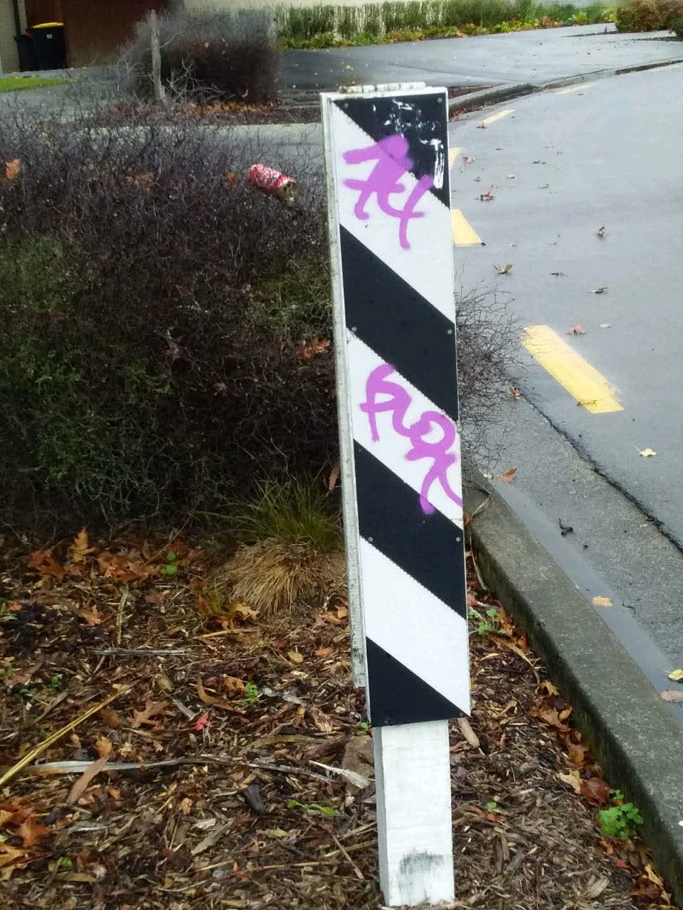 The photograph attached to this graffiti report
