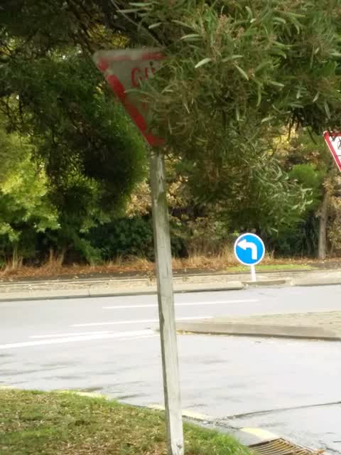 Roading/Streets, a report photo
