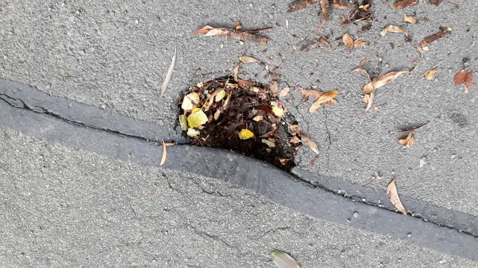 The photograph attached to this roading/streets report