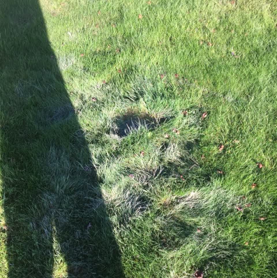 The photograph attached to this water supply report