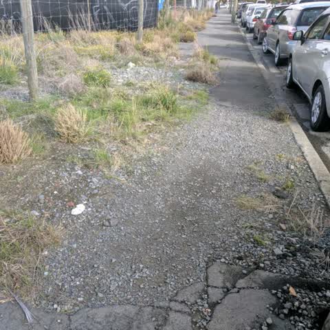 Roading/Streets, a report photo