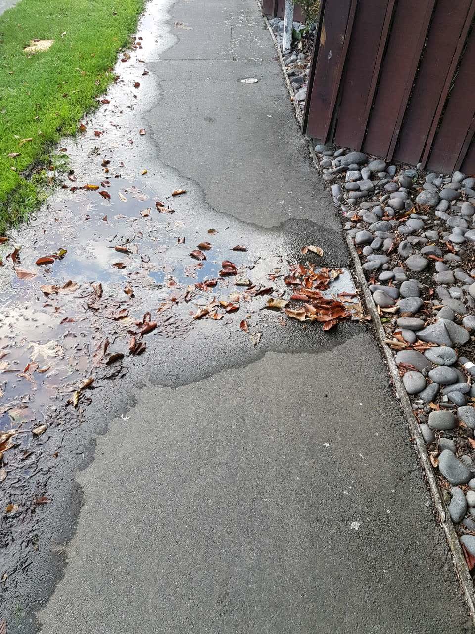 The photograph attached to this water supply report