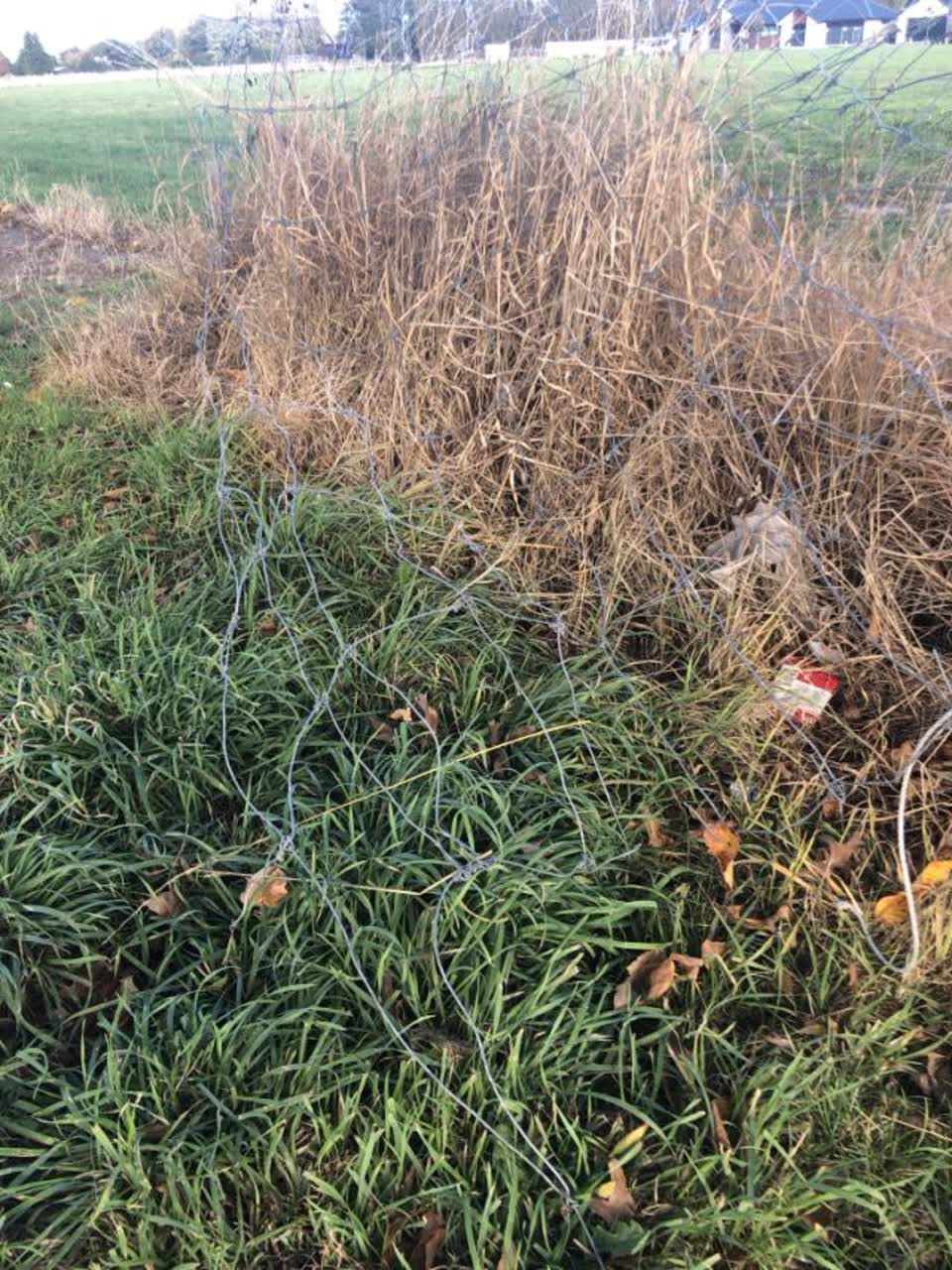 The photograph attached to this parks report