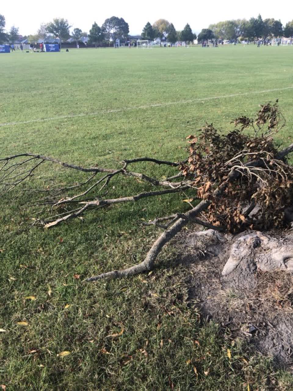 The photograph attached to this parks report