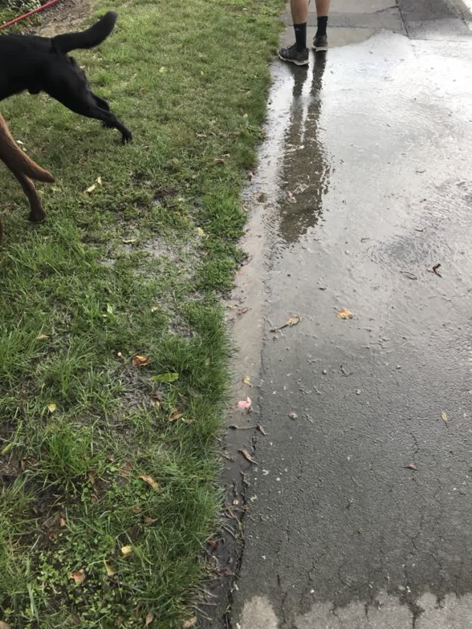 The photograph attached to this water supply report