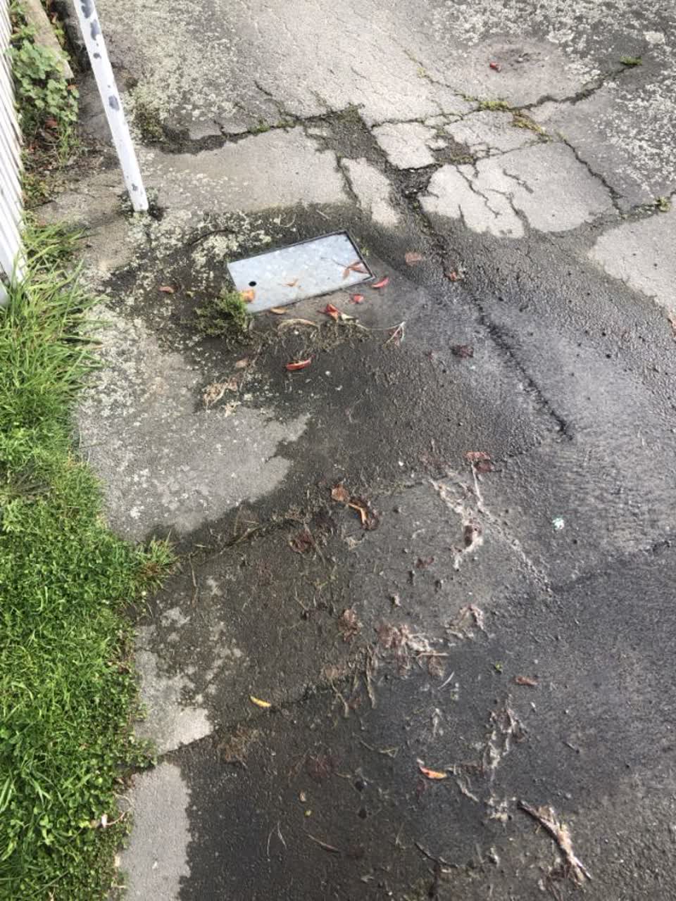 The photograph attached to this water supply report