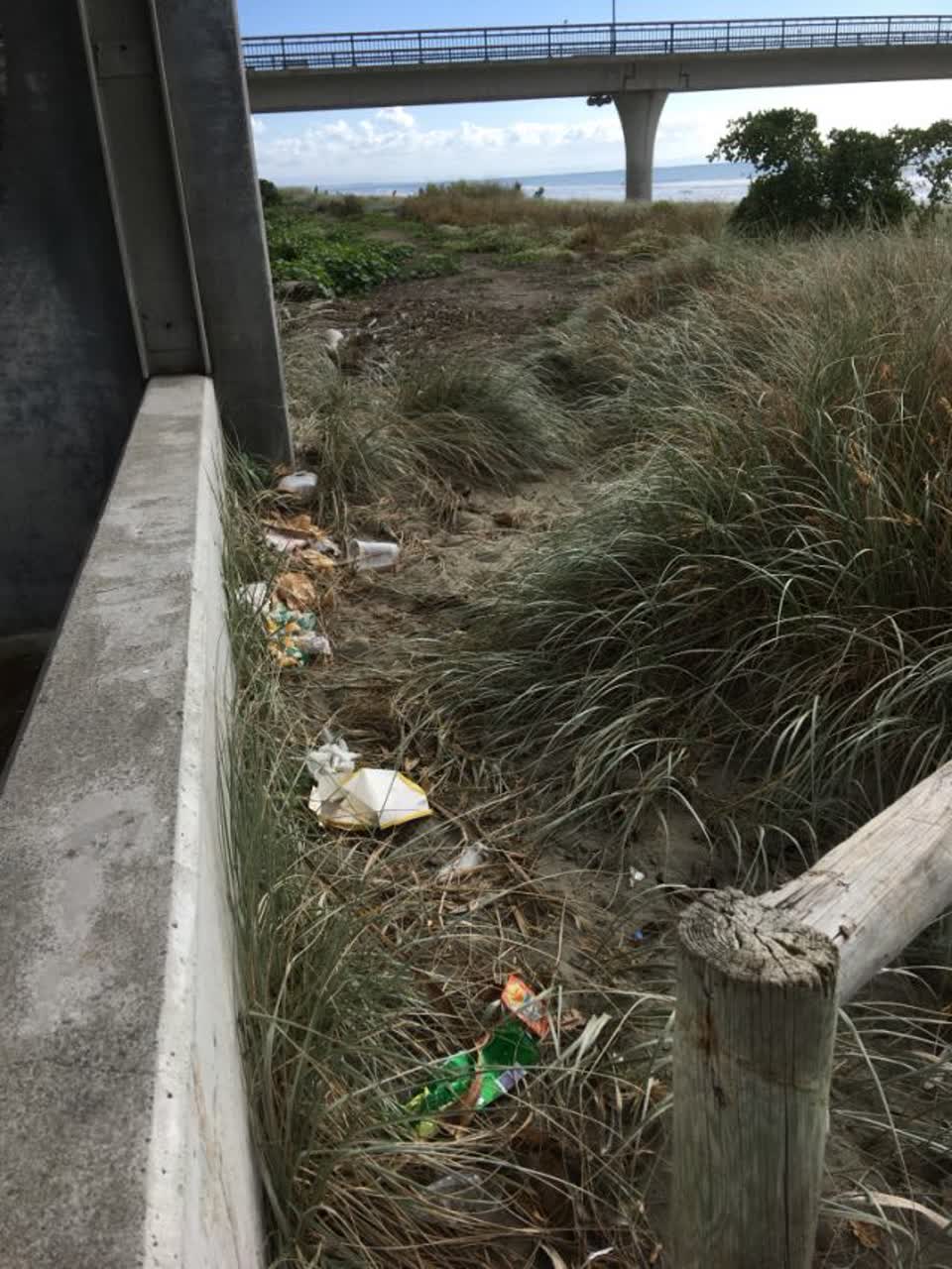 The photograph attached to this rubbish/recycling report