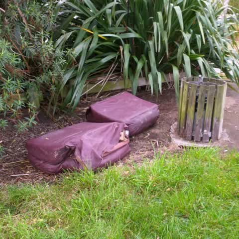 Rubbish/Recycling, a report photo