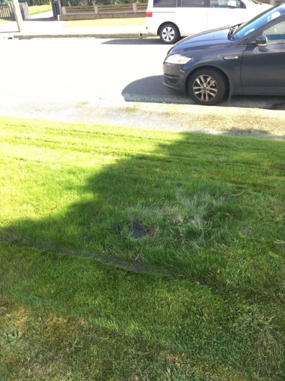 The photograph attached to this water supply report