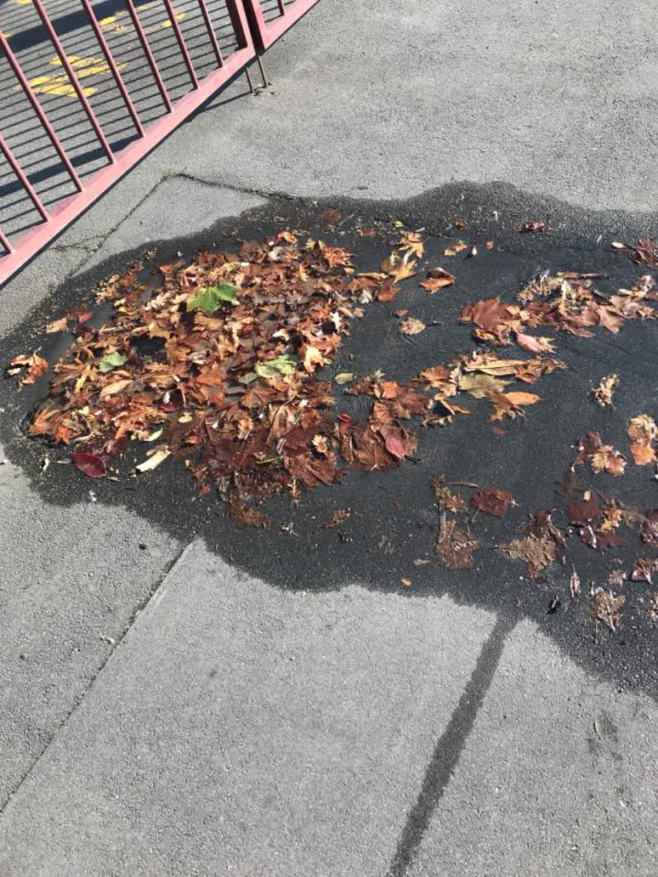 The photograph attached to this water supply report